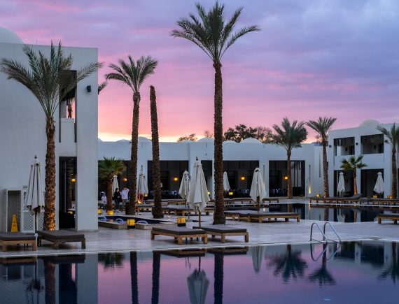 a large swimming pool surrounded by palm trees