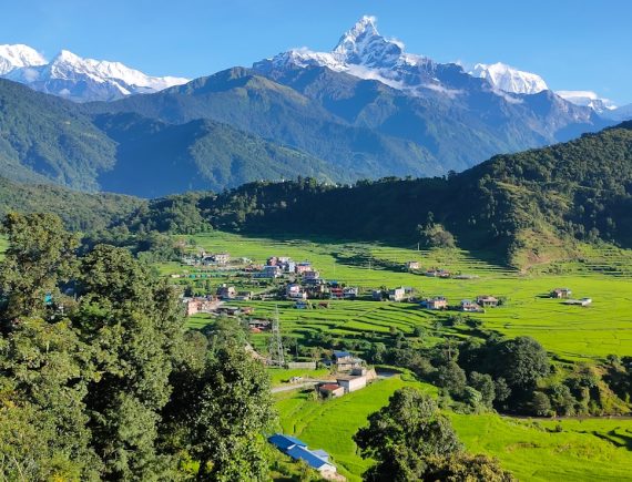 a scenic view of a green valley with mountains in the background